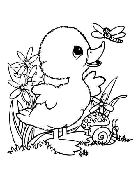 Duck Coloring Pages - Best Coloring Pages For Kids