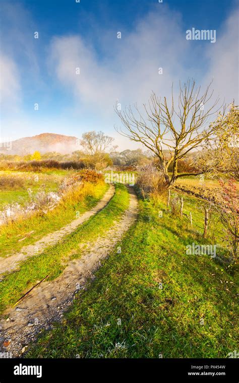 rural area in autumn. beautiful early morning scenery. country road ...