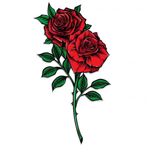 Red rose stem vector illustration | Premium Vector #Freepik #vector #flower #floral #flowers # ...