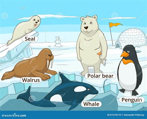 Arctic Animals Educational Game For Kids Vector Stock Vector ...