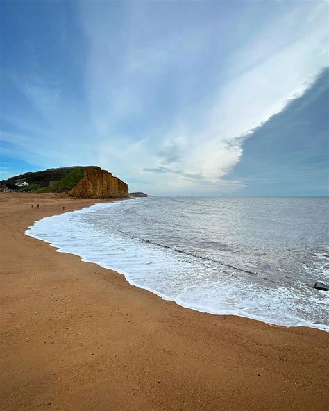 Dog Friendly Beaches in West Bay - BeachAtlas