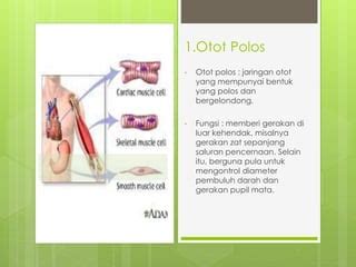 Jaringan otot | PPT