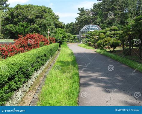 Jeju Island , Botanical Garden Stock Photo - Image of boat, beach: 62991576