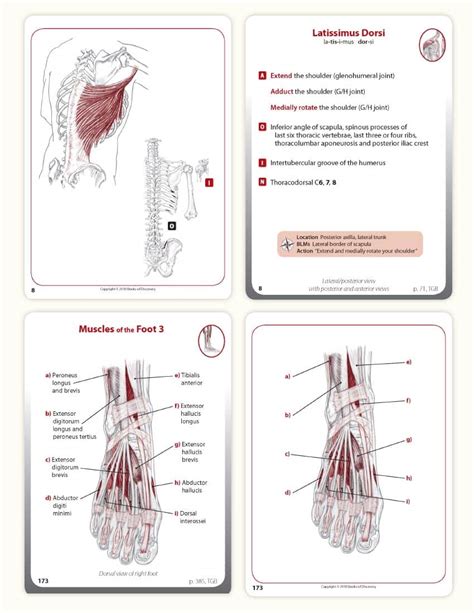 Trail Guide to the Body Complete Student Package - Books of Discovery