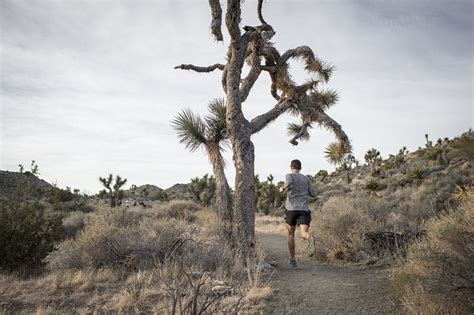 10 SAFETY TIPS FOR TRAIL RUNNING AND HIKING