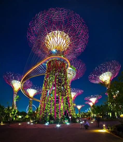 Singapore Supertrees – Mother Nature Beautifies Urban Sprawl | Bonsai ...