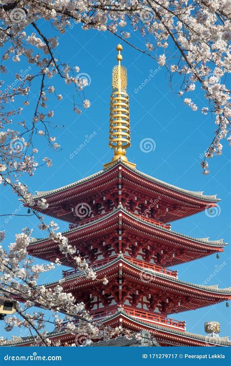 The Scenery of Red Pagoda in Sensoji or Asakusa Temple with Blooming ...