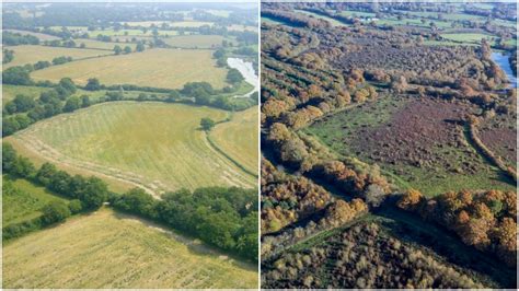 In this ‘wildland’ farm in Britain, species thrive and yields are high – The European Sting ...