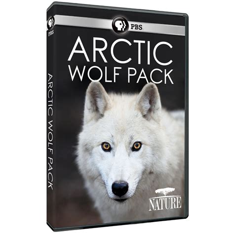 Arctic Wolf Pack | School Library Journal