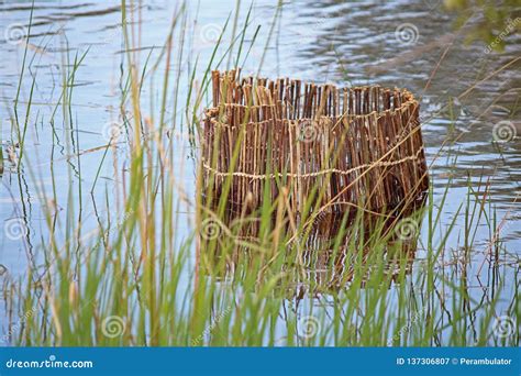 HANDMADE FISH TRAP USED by LOCALS in a RIVER in NAMIBIA Stock Image - Image of fish, smooth ...