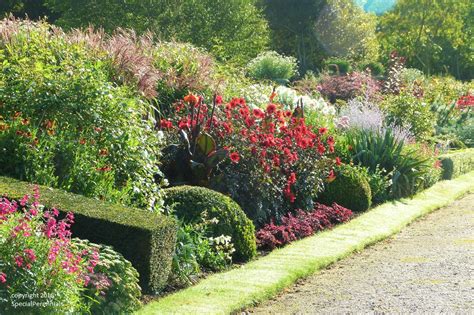 Planning and preparing a herbaceous border