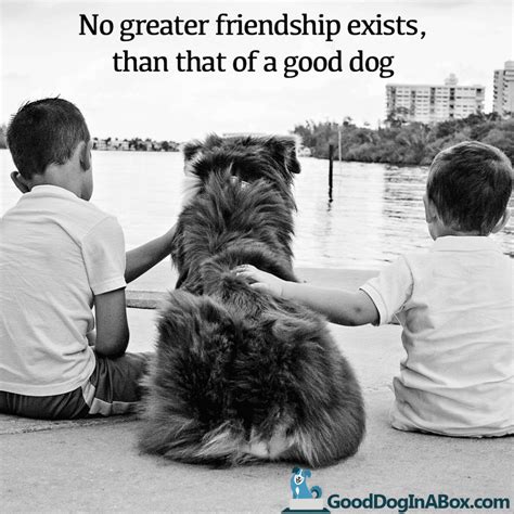 Dog Quotes: Friendship - Good Dog in a Box