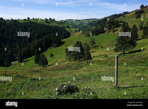 Hiking near the mountain Schauinsland in the Black Forest, Germany Stock Photo - Alamy