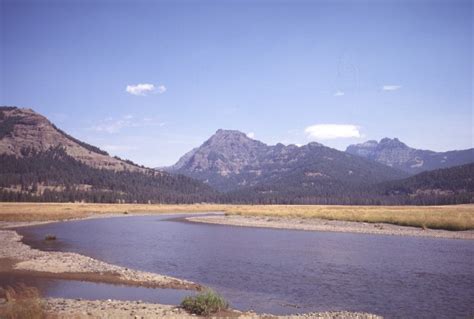 Yellowstone Park, August 12th, 2023 - Fly Fish Food Jimmy's