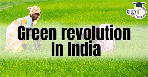 Green Revolution in India Advantages, Impacts & Achievements