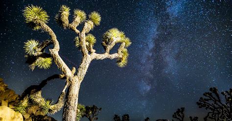 New National Monuments Protect Southern California Dark Skies – DarkSky ...