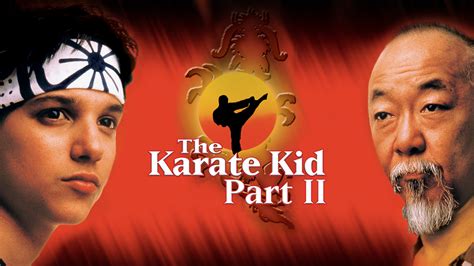 The Karate Kid Collection [DVD Box Set] — MyShopville