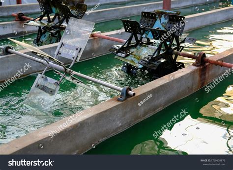 65 Spirulina Farming Stock Photos, Images & Photography | Shutterstock