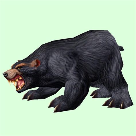 Black Bear - Pet Look | Petopia - Hunter Pets in the World of Warcraft