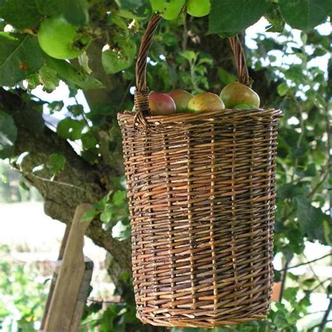 Fruit Picking Basket — The Worm that Turned - REVITALISING YOUR OUTDOOR ...