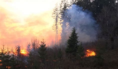 Early season wildfire threatens homes, buildings in Oregon – People's World
