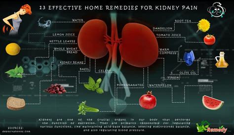 13 Effective Home Remedies for Kidney Pain - Home Remedies