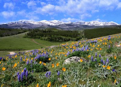 Big Horn Mountains and Bighorn National Forest Wyoming information ...