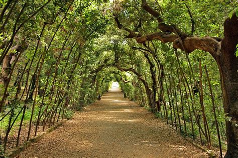 Boboli Gardens (Giardino di Boboli), Florence