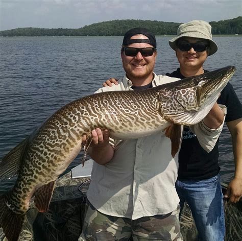 Musky Fishing - Wisconsin Green Bay Old Squaw and Diver Duck Layout Boat Hunting