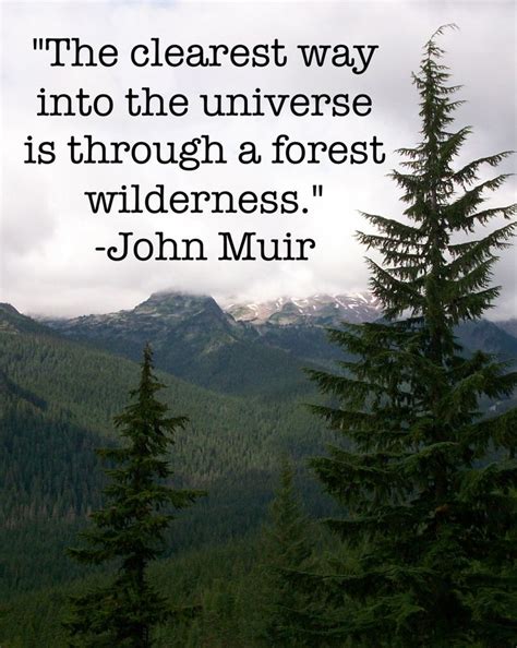 Best John Muir Quotes. QuotesGram