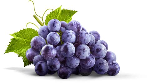 Grape PNG Transparent Grapes Clipart Images Free Download - Free ...