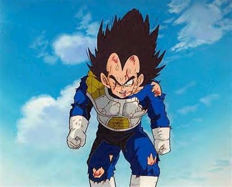 Vegeta - Dragon Ball Z Photo (25449314) - Fanpop