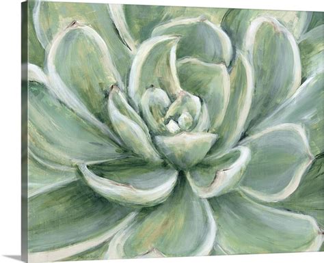 Succulent | Great Big Canvas