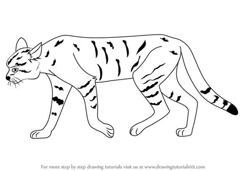 Learn How to Draw an African Wildcat (Wild Animals) Step by Step ...