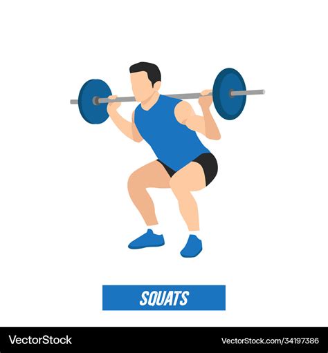 Young athlete powerlifter squat in powerlifting Vector Image