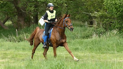 Try something new in 2019 – endurance riding - Horse & Hound