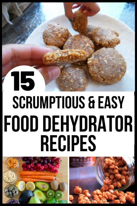 Dried Fruit + More Tasty Food Dehydrator Recipes | Dehydrator recipes, Dehydrator recipes fruit ...