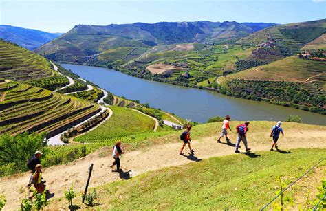 Douro Valley Self-guided Hiking, Portugal. Wine Trails And Independent Walking Tours.