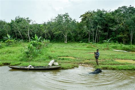 Peatlands as a safe haven for rare and threatened biodiversity