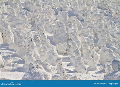 Snow monsters stock image. Image of environment, beautiful - 29840453