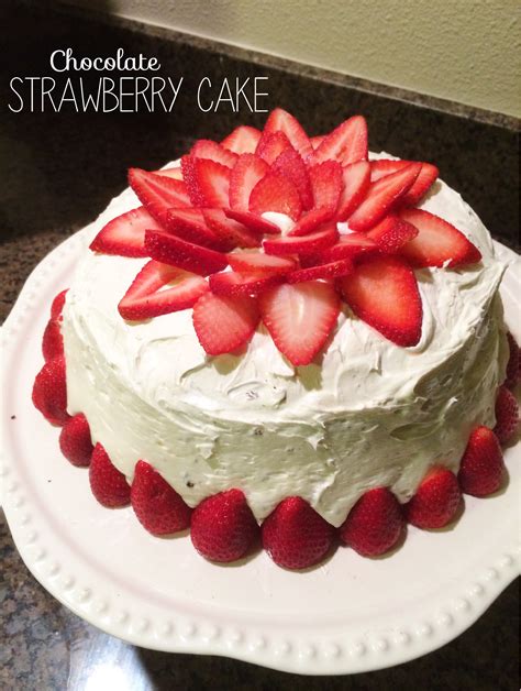 Chocolate Strawberry Cake | The Sara Project