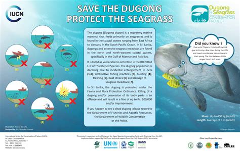 Dugong and Seagrass Conservation Awareness Displays from Sri Lanka - The Dugong & Seagrass ...