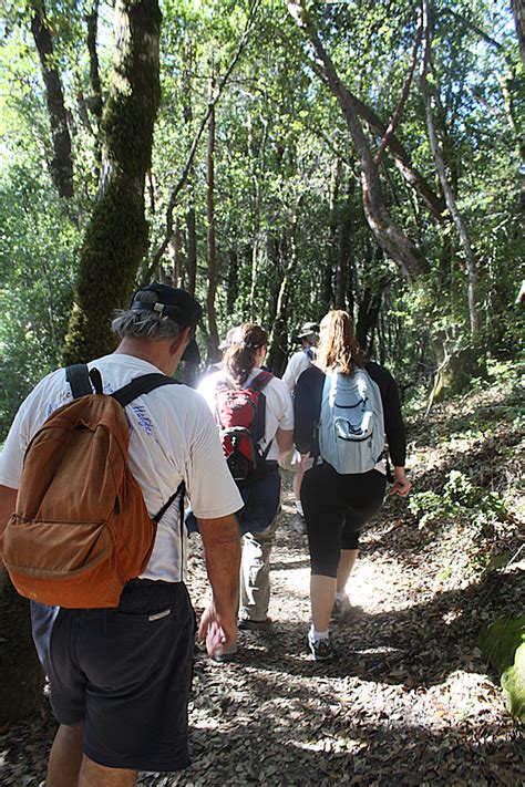 My Romantic Home: Hiking around Northern California