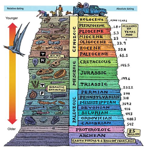 Fossils