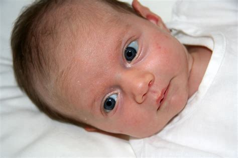 newborn-baby-with-blue-eyes image - Free stock photo - Public Domain photo - CC0 Images