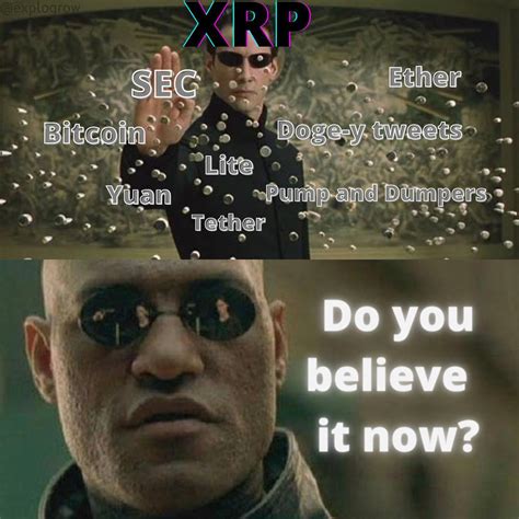 862 best XRP images on Pholder | Ripple, XRP and Alt Street Bets