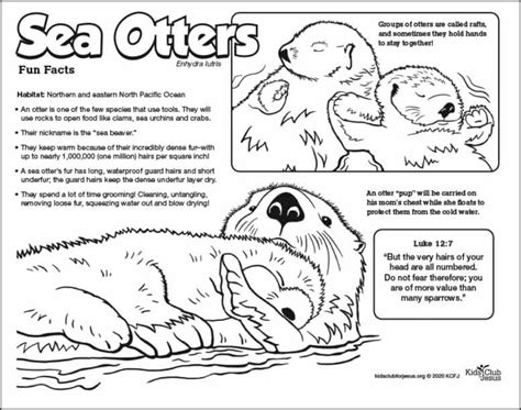 Sea Otter Facts, Habitats Projects, Otter Art, Mindfulness Colouring ...