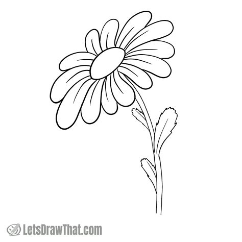 How to Draw a Daisy From Easy Simple Shapes