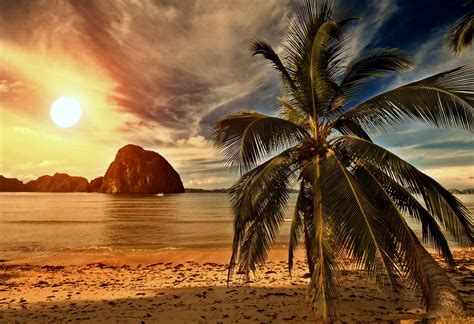 Tropical Paradise Sunset Wallpapers - Top Free Tropical Paradise Sunset Backgrounds ...