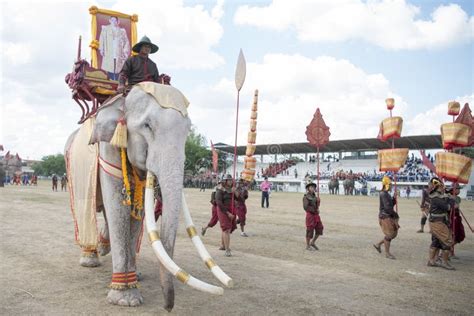 Majestic Marvel: Exploring the Regal Life of a 900kg Albino Elephant in ...